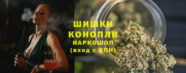 дживик Корсаков