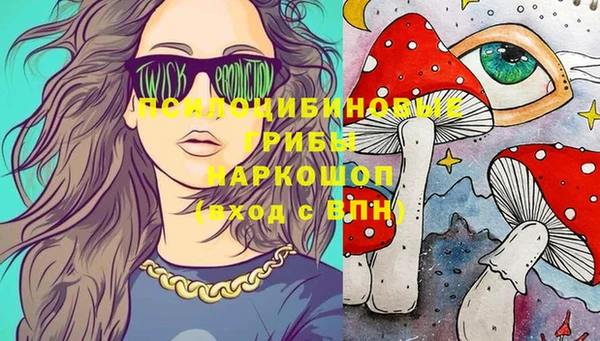 ПСИЛОЦИБИНОВЫЕ ГРИБЫ Куйбышев